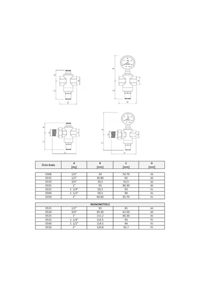 Case Pm Su Basınç Düş. 3'' (3080 Maks.25 Bar)
