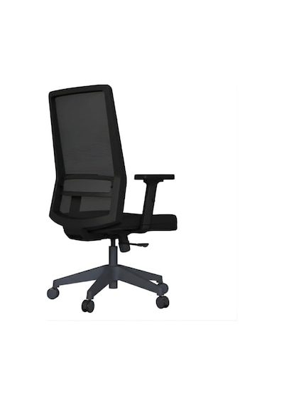 Tr Ritim Rtm Ergonomik Fileli Çalışma Koltuğu, Ayarlanabilir Bel Ve Kol Destekli Ofis Sandalyesi, 32 Dns Süngerli S Diğer Tr Ritim Rtm Ergonomik Fileli Çalışma Koltuğu, Ayarlanabilir Bel Ve Kol Destekli Ofis Sandalyesi, 32 Dns Süngerli S Diğer