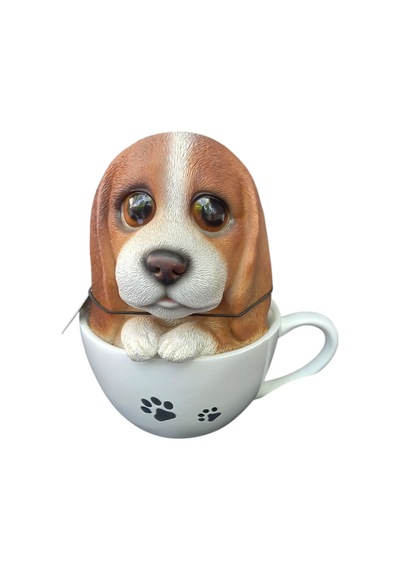 Fi Ncanda Köpek Bi Blo