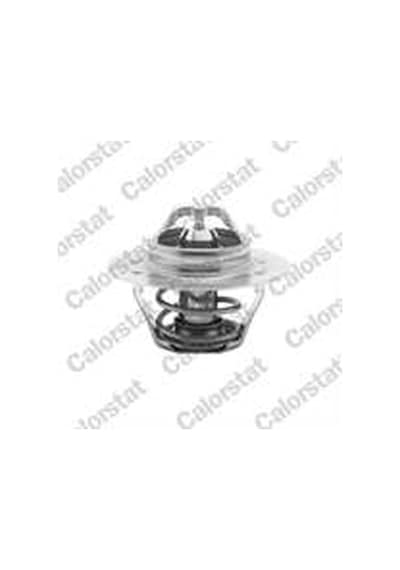 Termostat 89 C R11-flash R9 1.7-1.9 83-
