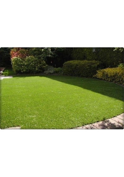 7 Günde Çimlenen Üzerine Basılabilir 6'Lı Karışım Çim Tohumu 1KG