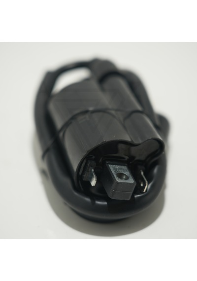 Drift L İndiksiyon Bobini 0.100 (54 Mm