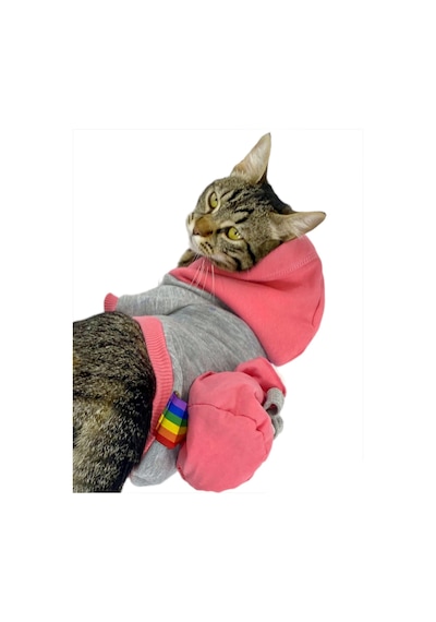 Kemique Mypocket Sweatshirt Duo Kapşonlu Kedi Kıyafeti