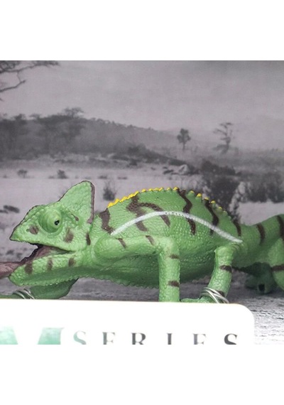 Animal World Vahşi Hayvanlar Sürüngenler 65806 Bukalemun