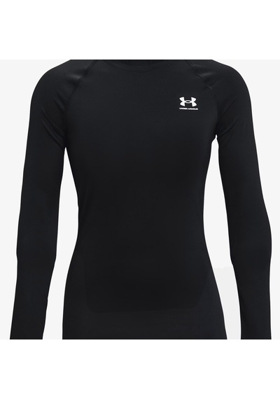 Under Armour Heat Gear Authentics Comp Kadın Siyah Uzun Kollu Antrenman İçliği 1365459