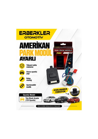 Amerikan Park Sinyal Modülü Ayarlı 4 Çıkıslı 12v - Erb2074