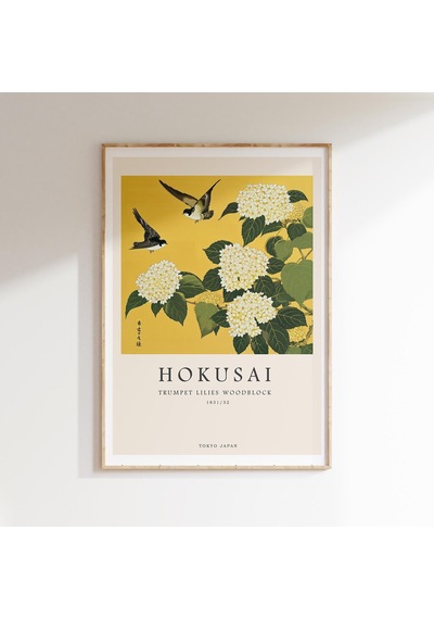 Katsushika Hokusai, Hokusai, Sergi Posteri, Japon Duvar Sanatı, Hokusai