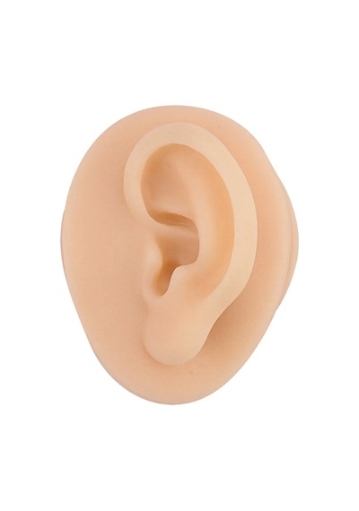 Silikon Sol Kulak Piercing Eğitim Modeli Gerçekçi 3d Kulak Modeli - Standlı
