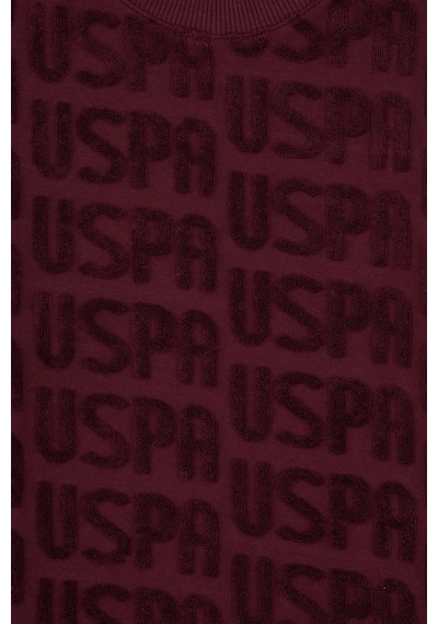 U.s. Polo Assn. Erkek Çocuk Plum Sweatshirt 50308515-vr177 New Plum U.s. Polo Assn. Erkek Çocuk Plum Sweatshirt 50308515-vr177 New Plum