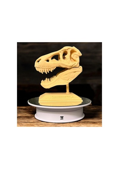 3d T-rex Kafatası Ahşap Filament Dekoratif - Hediyelik Figür