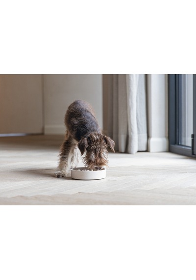 Beeztees Dbl Köpek Yavaş Besleme Mama Kabı, Bambu, Bej, 17cm, 800