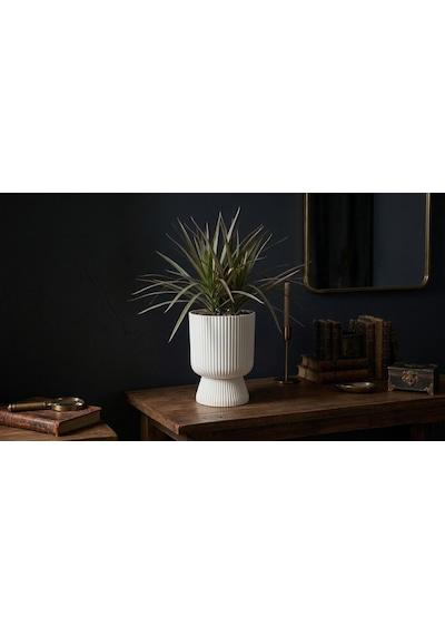 Omnipazar So-ltsa02 Lotus Ayaklı Plastik Vazo Çiçek Saksı 5 Litre No: 2 Beyaz