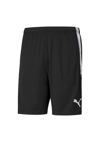 Puma Teamliga Training Shorts Erkek Futbol Maç Şortu 65724903 Si