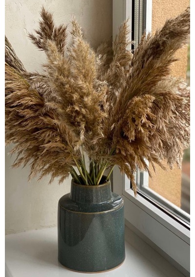 Dekoratif 7'li Natural Pampas 100 Cm Doğal