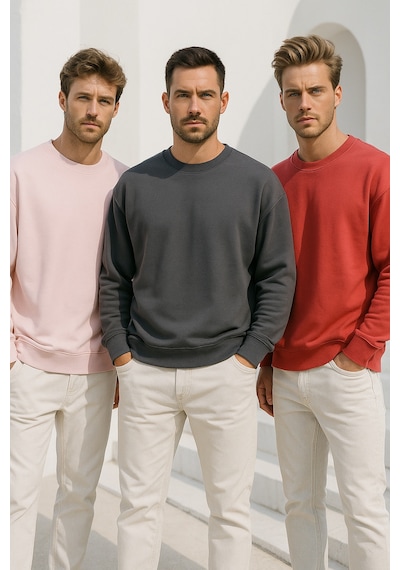 Rich Erkek 3'lü Paket Antrasit- Pudra- Nar Çiçeği Bisiklet Yaka Scuba Sweatshirt Antrasit
