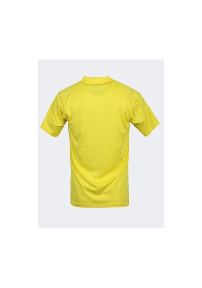 Fenerium Fenerbahçe A Takım Futbolcu Antrenman T-shirt Sarı