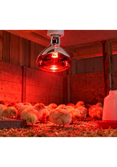 Ysf 8541 Infrared Isıtıcılı Ampul 250w Kırmızı Işık