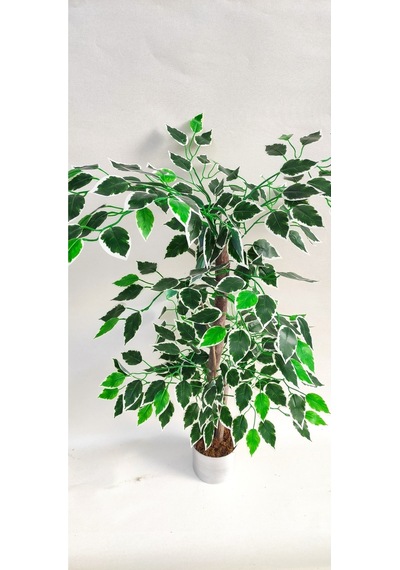 Rüzgar Yapay Çiçekçilik 90 Cm Ficus Ağacı Yeşil