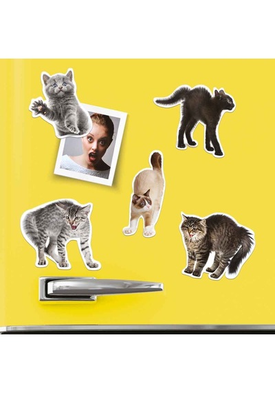 Mustard Sinirli Kediler Magnet