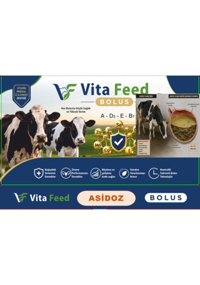 Vitafeed Asidoz Buffer Bolus 100 Gr 12 Adet