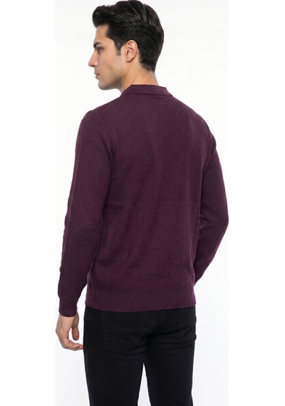 Foterman Erkek Spor Polo Yaka Mevsimlik Kazak Bgl-st05443 Mürdüm