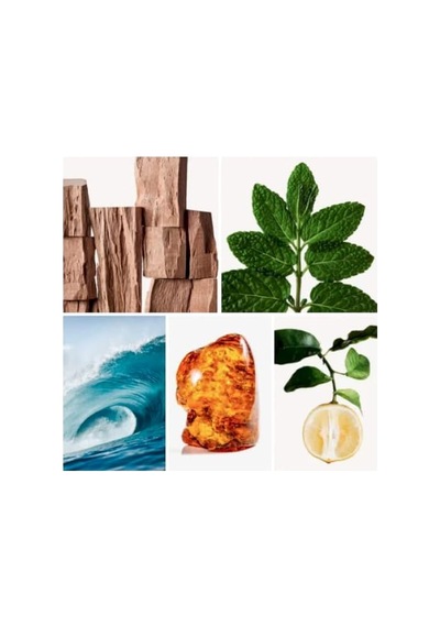 Banderas Antonıo Blue Seductıon 100 Ml Edt Amber
