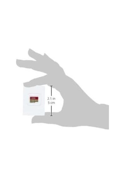 Sandisk Extreme Sdsqxa1-256g-gn6mn Class 10 Uhs-ı U3 A2 V30 256 Gb Micro Sd Kart - Teşhir