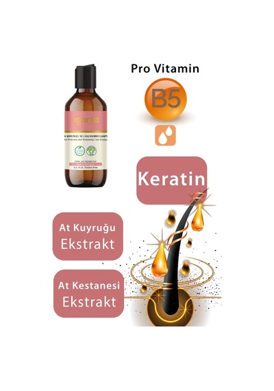 Agarta Boyalı Saçlar İçin Renk Koruyucu ve Canlandırıcı Şampuan 400 ML