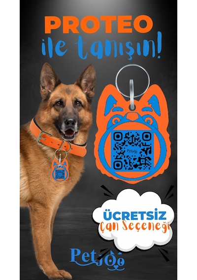 Petjoo 24.Proteo Mavi-Turuncu Qr'lı Köpek Künyesi