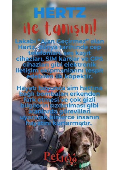 Petjoo 26.Hertz Kırmızı-Mavi Qr'lı Köpek Künyesi