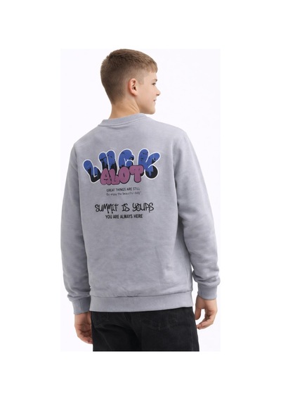 Baglan Erkek Çocuk Önü Arkası Baskılı Sweatshirt Bgl-st05237 Gri