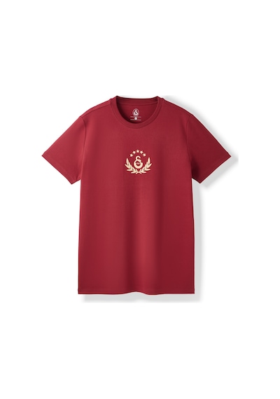 Gsstore Galatasaray Erkek T-shirt E252138 Bordo