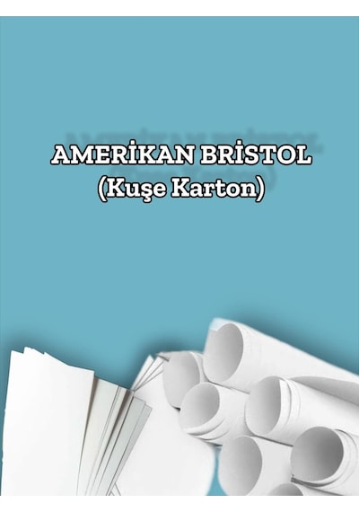 240 Gr. Amerikan Bristol Kağıt Karton 50x70 50 Adet
