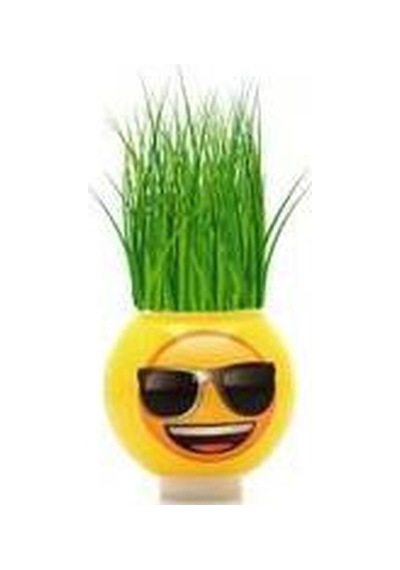 24 Adet Karne Emoji Çim Adam Okul Etkinlik Toptan Fiyatı