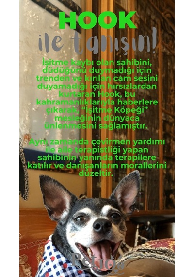 Petjoo 7.Hook Gri-Yeşil Qr'lı Köpek Künyesi