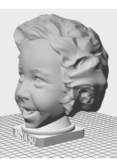 Fotoğraftan Kişiye Özel 3D Büst (10-13 cm)