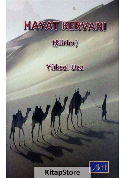 Sağlık Coğrafyası - Ramazan Özey - Aktif Yayınları