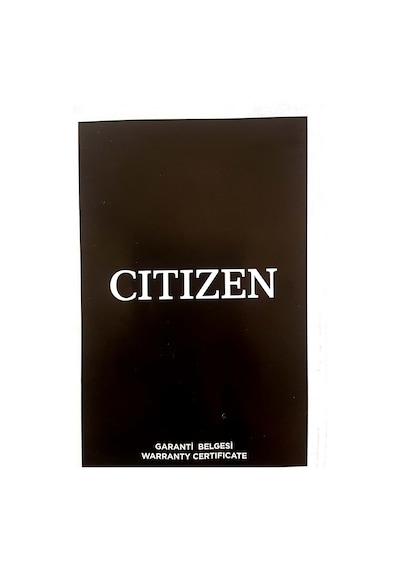 Citizen Erkek Kol Saati Ca4500.91x Metal