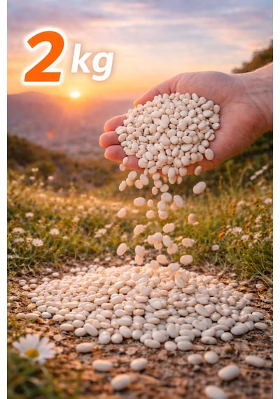 Kuru Fasulye 2 Kg