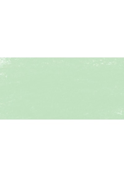 Schmincke : Artist Soft Pastel Boya : 075 O Mossy Green 1