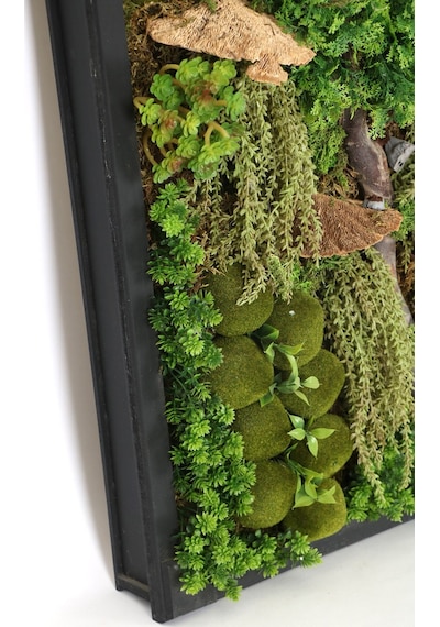 Yapay Çiçek Deposu Ahşap Panoda Bitki Duvar Sukulent Bahçesi Tablo 50 Cm X 100 Cm