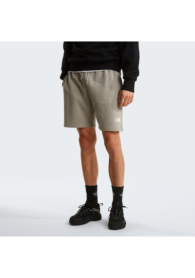 The North Face M Sımple Dome Lıght Regular Shorts Erkek Sportif Şort Nf0a8gqb2mb1 Gri
