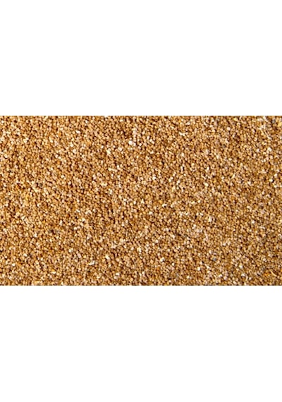 Kabakçıoğlu Tane Sarı Haşhaş 1 KG