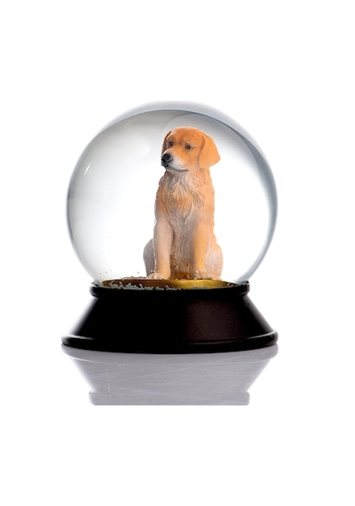 Cam Ve Reçine Altın Patiler Köpek Golden Retriever Kar Küresi Hediye