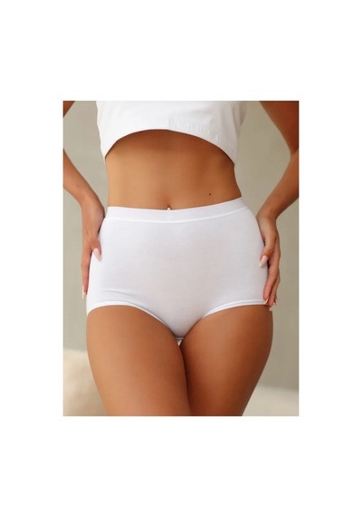 Berrak Yüksek Bel Külot 3'lü Paket-beyaz-3xl Çok Renkli
