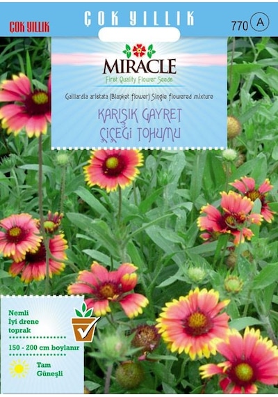 Miracle Karışık Gayret Çiçeği Giallardia Mix Tohumu 190 Tohum