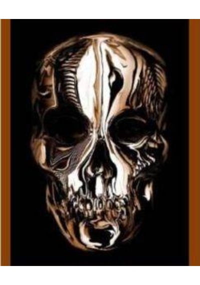 Alexander Mcqueen: Savage Beauty (Metropolitan Museum) 9780300169782