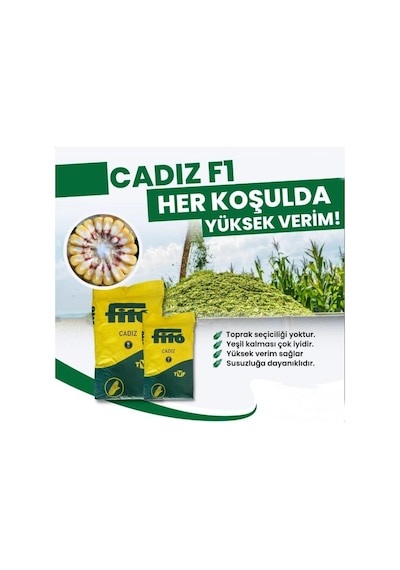 Cadız Silajlık Mısır Tohumu 50000 Ad