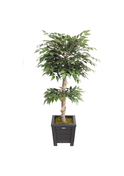 Yapay Lüx Ficus Ginseng Ağacı 100 Cm Mat Yeşil Yeşil