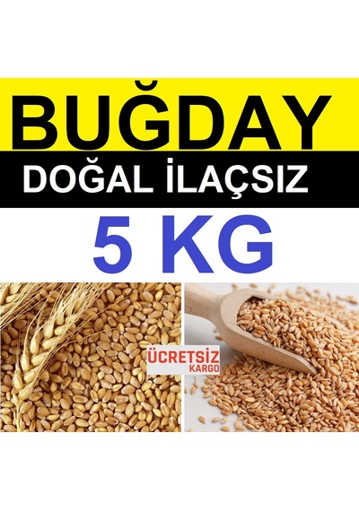 Buğday 5 Kg Yemlik Buğday Tavuk Yemi Güvercin Yemi Kanatlı  Yemi